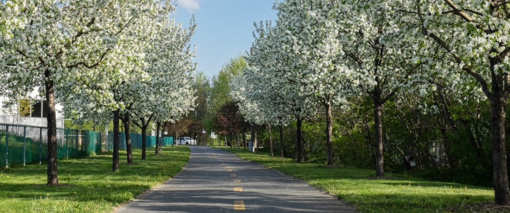 Student housing, apartments and rooms for rent in Longueuil